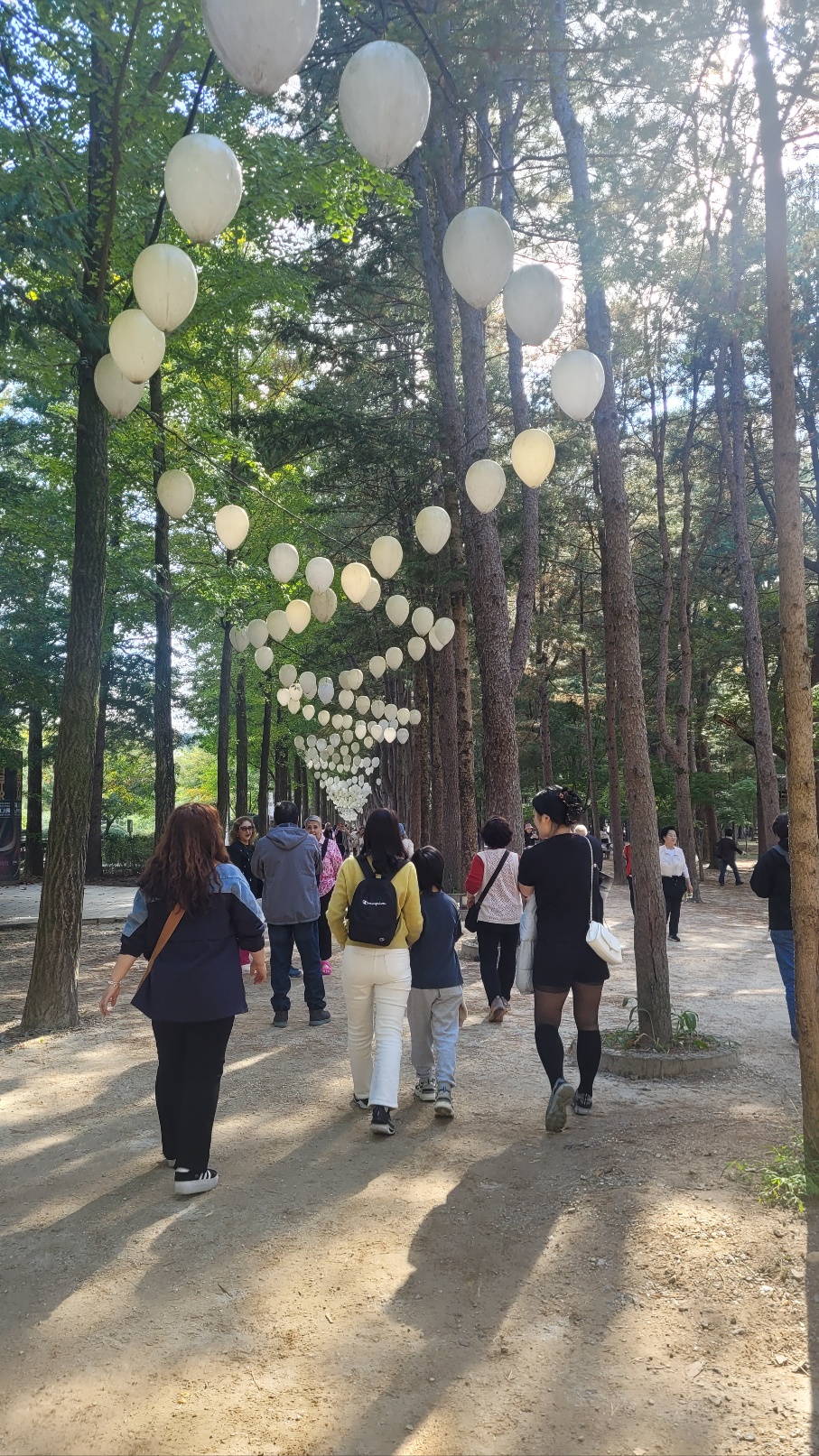 KakaoTalk_20251029_143429222_02 (1).jpg